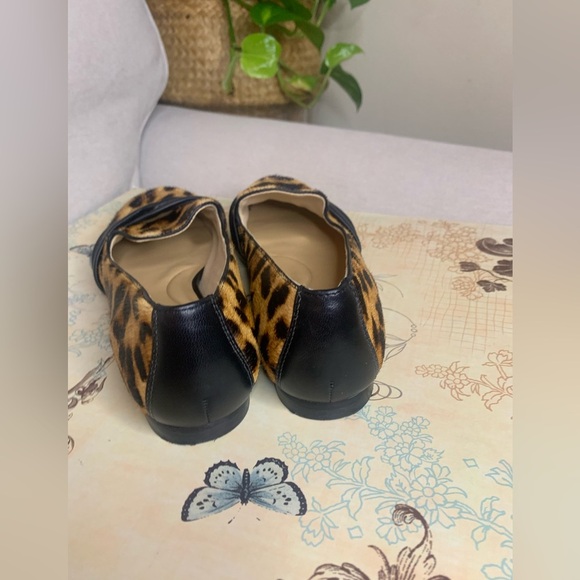 Talbots - Picture 7 of 8